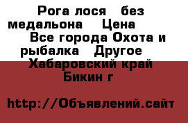 Рога лося , без медальона. › Цена ­ 15 000 - Все города Охота и рыбалка » Другое   . Хабаровский край,Бикин г.